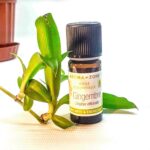 Ефірна олія імбиру 10 мл